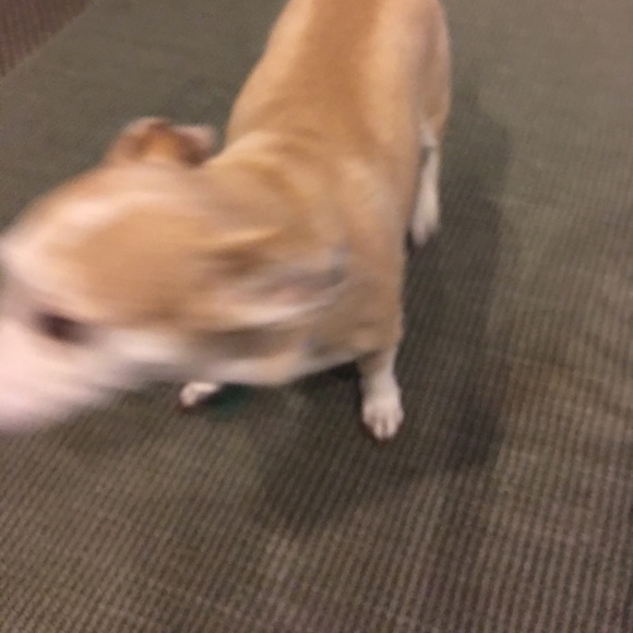 Profile Picture of Terri Branch (@terribranch) on Poshmark