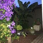 Profile Picture of Lisa Kovac (@lisa_kovac) on Instagram