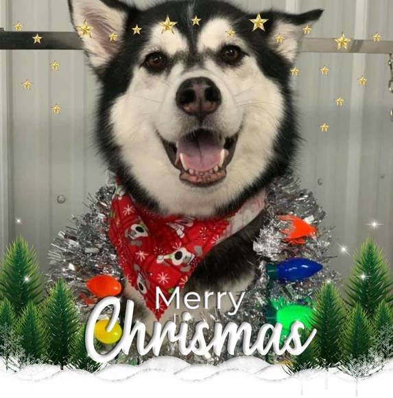 Profile Picture of Amanda Probst (@aprobst282) on Poshmark