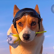 Profile Picture of Cindy Gan (@cindygan-d5z) on Youtube