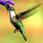 Weissphotography - Flickr Profile Picture of Weissphotography (@weissphotography) on Flickr