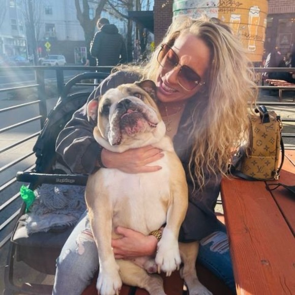 Profile Picture of Carly Gibbons (@carlyfbaby) on Poshmark