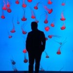 Profile Picture of Joseph Vernuccio (@jvernooch) on Instagram