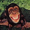 Profile Picture of John Markham (@Jag Monkey) on Flickr