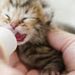 Profile Picture of PAMELA WILBURN (@pamelaw1232) on Pinterest