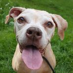 Profile Picture of Lori Harmon (@lori.harmon.35) on Facebook