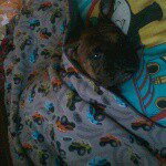 james - Instagram Profile Picture of james (@jamesleaper777) on Instagram