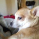 Profile Picture of Shirley Knopp (@shirleyknopp) on Instagram