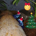 Profile Picture of Colin MacEachern (@tinctorius_tourist) on Instagram