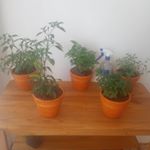 Profile Picture of Monica Miquita Campos (@monica.camposcastro.1) on Instagram