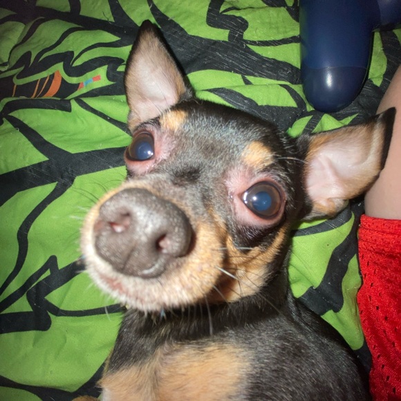 Profile Picture of Caleb Foster (@calebfoster638) on Poshmark