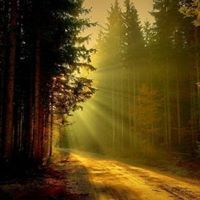 Profile Picture of Jeff Dowdy (@jwdowdy7741) on Pinterest