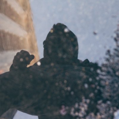 Profile Picture of Cody Alexander (@CodyStankonia) on Twitter