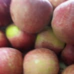 Brain Daniel - Facebook Profile Picture of Brain Daniel (@Brain-Daniel) on Facebook