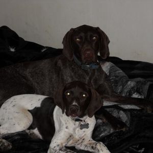 Profile Picture of Chelsy Davis (@06davis) on Myspace