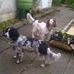 Profile Picture of Ann Blacker (@ann.blacker) on Facebook