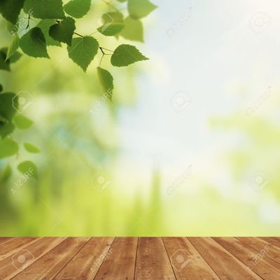 Profile Picture of Edgar Siles (@edgarsiles2018) on Twitter