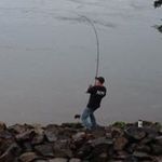 Profile Picture of Jason Hammerle (@jmhammerle) on Instagram