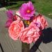 Profile Picture of Lori McDougall (@loriannmcdougal) on Pinterest