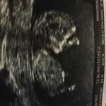 Profile Picture of Shawn Michael Pelley (@pelleyshawn) on Instagram