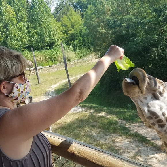 Barbara Bamert bakos - Poshmark Profile Picture of Barbara Bamert bakos (@bjm22159) on Poshmark