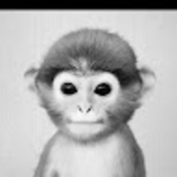 Profile Picture of Albert Robles (@kempesalbe) on Poshmark