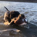 Profile Picture of Chris Samorajczyk (@birdsonlytaxidermy) on Instagram