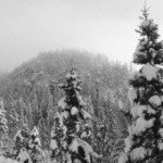 Profile Picture of MEREDITH (@5dugganjhtydoria) on Instagram