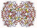 Profile Picture of Beta-alanine—pyruvate transaminaseon Wikipedia