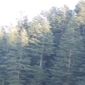 Profile Picture of Rohit Mehta Uttarakhand (@rohit2715) on Youtube