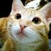 Profile Picture of Jonathan Toney (@jonathan.toney.5661) on Facebook