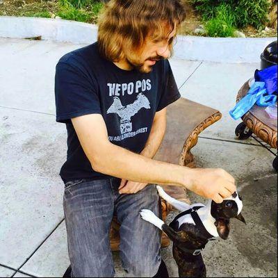 Profile Picture of Michael Wehner (@highfivedogs) on Twitter