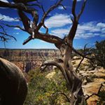 Profile Picture of Travis Keim (@travman01) on Instagram