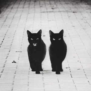 Profile Picture of Martin (@barko91) on Myspace