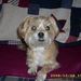 Profile Picture of Alice Broome (@alicebroome562) on Pinterest