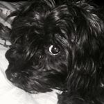 Profile Picture of Renee Hayes (@renee_hayes1) on Instagram