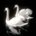 Profile Picture of Cesar Canto (@Cesar-Canto) on Facebook