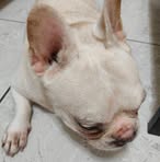 Profile Picture of 黃翠華 (@huang.cui.hua.212729) on Facebook