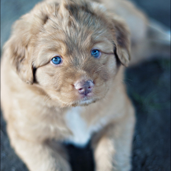 Profile Picture of Jenna Groenewd (@mclennah) on Poshmark