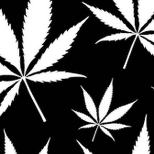 Profile Picture of Demarcus Mcmillian (@demarcus.mcmillia) on Tiktok