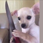 Profile Picture of Janet Wynsen (@awdw23) on Youtube