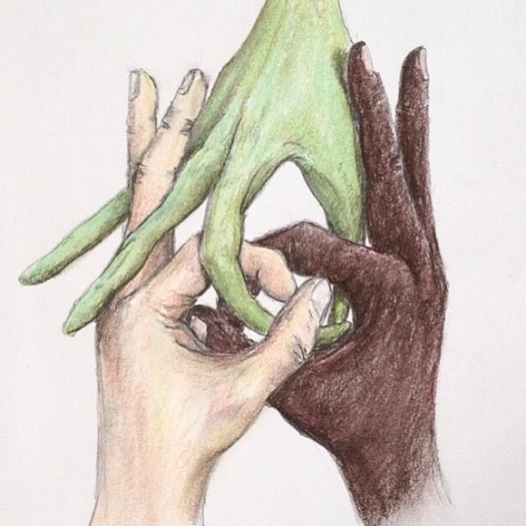 Allison Llerena - Poshmark Profile Picture of Allison Llerena (@allisonllerena) on Poshmark