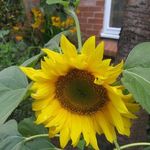 Profile Picture of Josephine Clampitt (@clampittjosephine) on Instagram