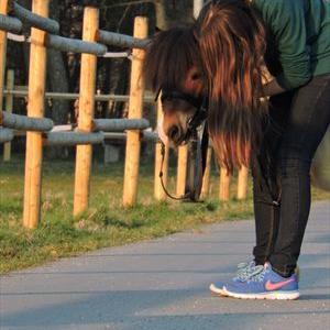 Profile Picture of Melissa Seifert (@@b964f8d99c6b41e) on Twitter