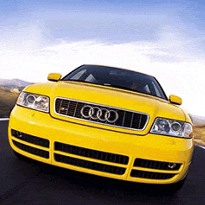 Profile Picture of Robert Aldair Martin (@perro4420) on Twitter