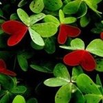 Profile Picture of Elise Pugh (@emp1884) on Instagram