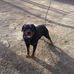 Profile Picture of Joseph Redding (@joseph.redding.391) on Facebook