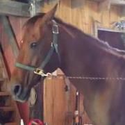 Profile Picture of Amanda Gauvin-Follansbee (@munchkn80) on Pinterest