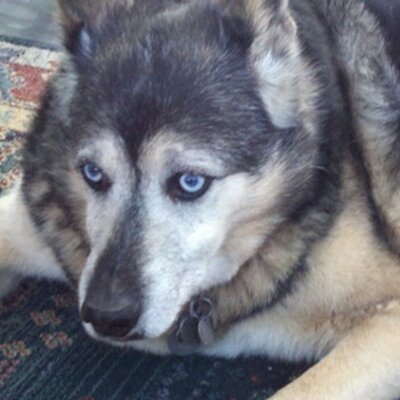 Profile Picture of Nicholas Keeling (@r0nkeel81) on Twitter