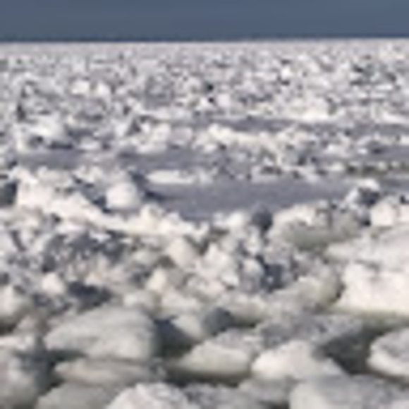 Profile Picture of Liam Farrell (@ewliam) on Poshmark